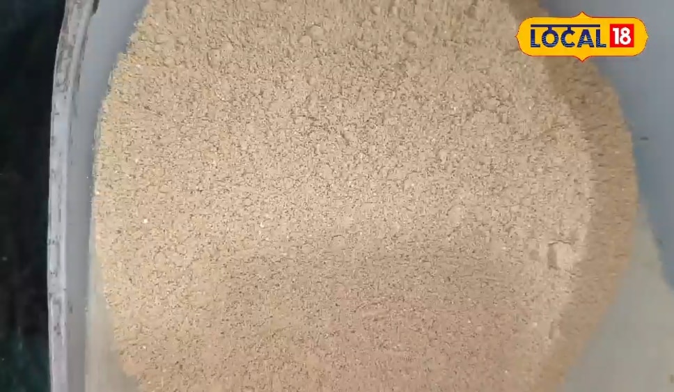 शरीर के लिए चमत्कारी है भूमि आंवला, पास नहीं फटकेंगे ये रोग