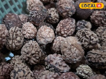 रुद्राक्ष 