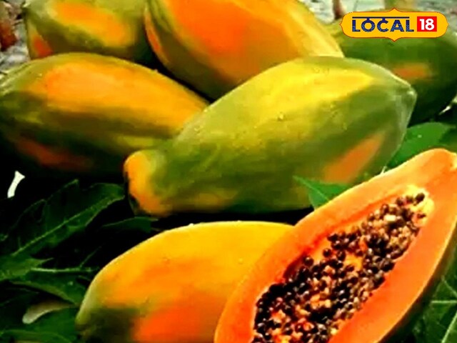 पपीता खाना इन लोगों के लिए है रामबाण, फायदे जानकर हो जाएंगे हैरान