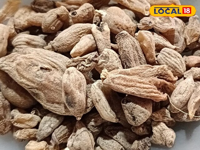 चमत्कारी औषधि है सालम मिश्री, इसके इस्तेमाल से शरीर बन जाएगा फौलाद