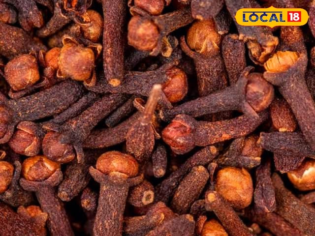 रात में लौंग खाने के क्या-क्या हैं फायदे, जानिए एक्सपर्ट की राय