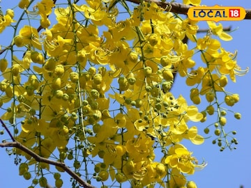 प्रतीकात्मक प्रतीकात्मक