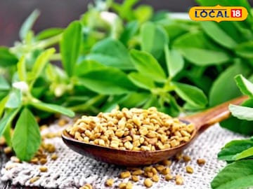 Fenugreek Fenugreek