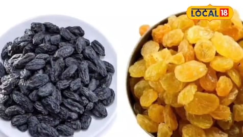 Raisin Raisin