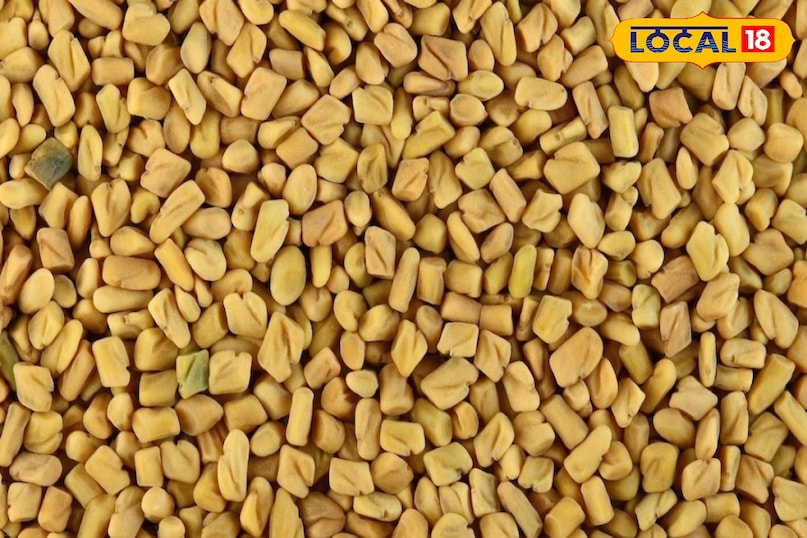 Fenugreek seed Fenugreek seed