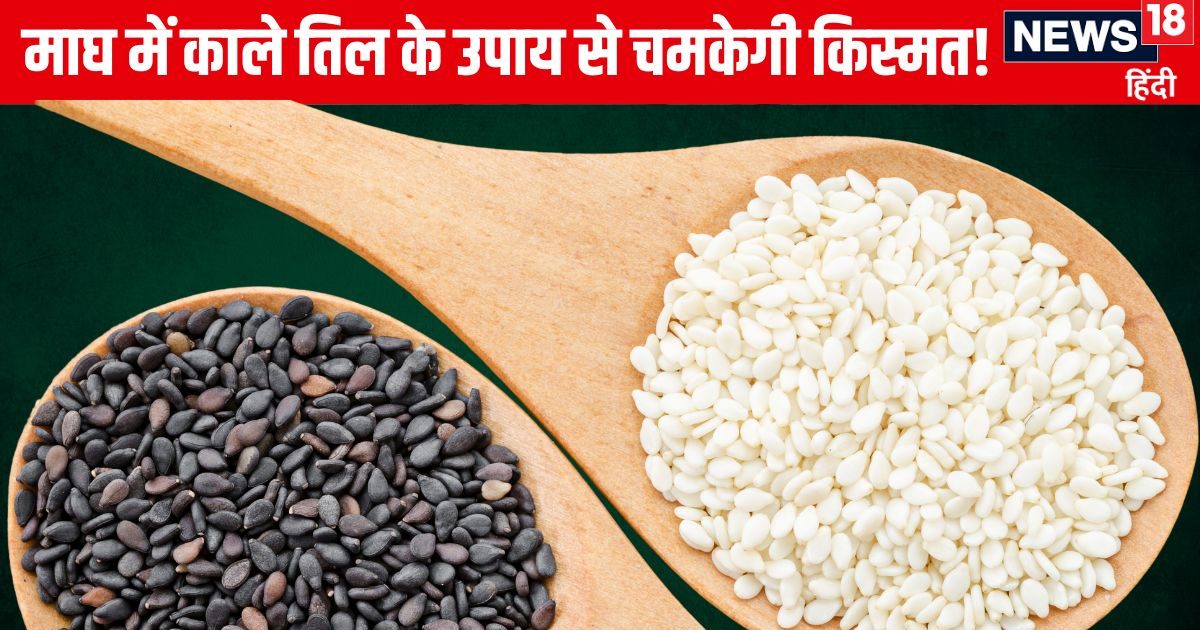 माघ माह में करें काले तिल के ये 5 उपाय, बढ़ेगा धन, वैभव और सुख, पितर भी खुश होकर देंगे आशीर्वाद