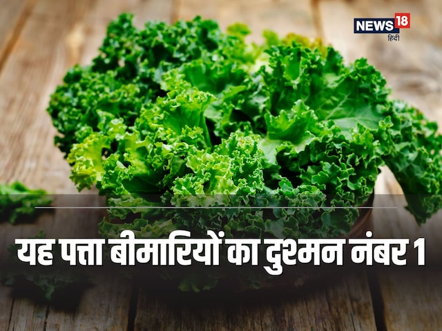 100 बीमारियों से बचाएगा यह पत्ता ! इसके आगे पालक-मेथी फेल, ऐसे मरीज करें परहेज