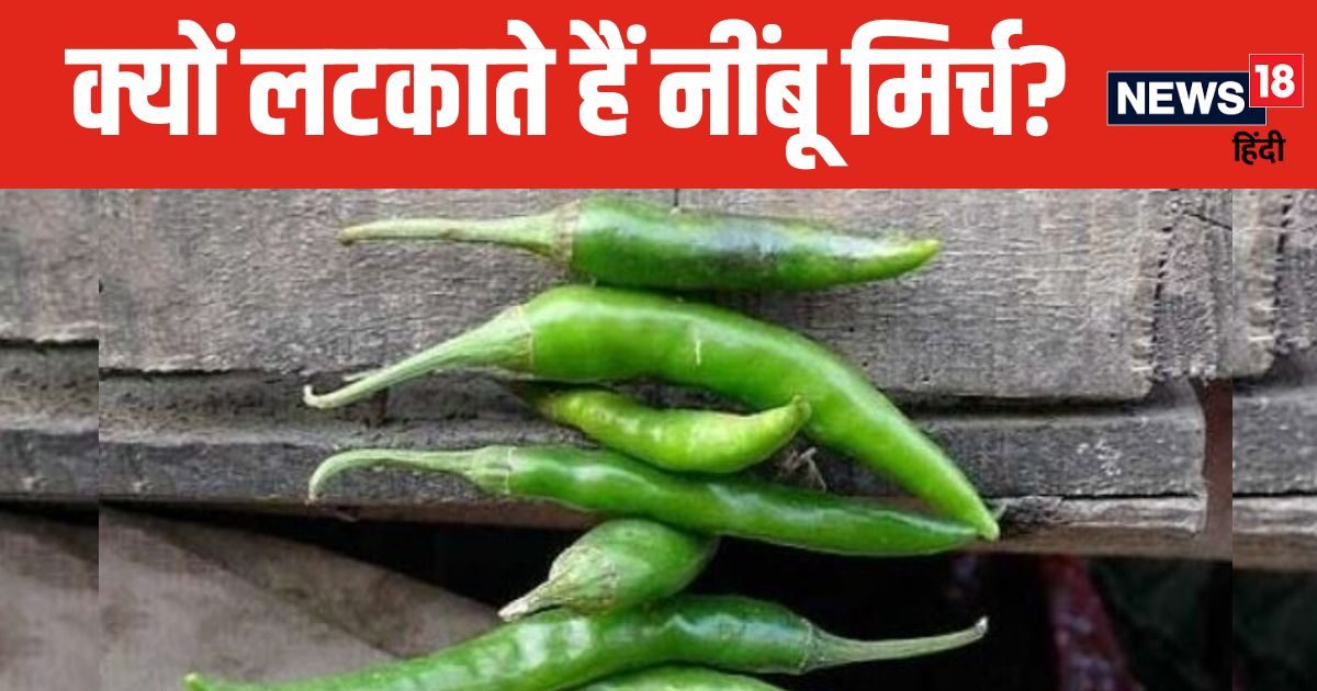आखिर घर और दुकान के बाहर क्यों लटकाते हैं नींबू-मिर्च? बुरी नजर या फिर कुछ और? जानें इससे होने वाले फायदे