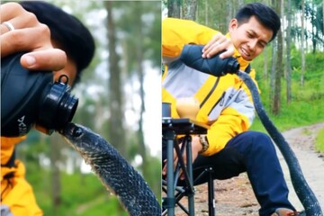 The wheat snake was suffering from thirst, on seeing it the person started feeding it water from the bottle! The wheat snake was suffering from thirst, on seeing it the person started feeding it water from the bottle!