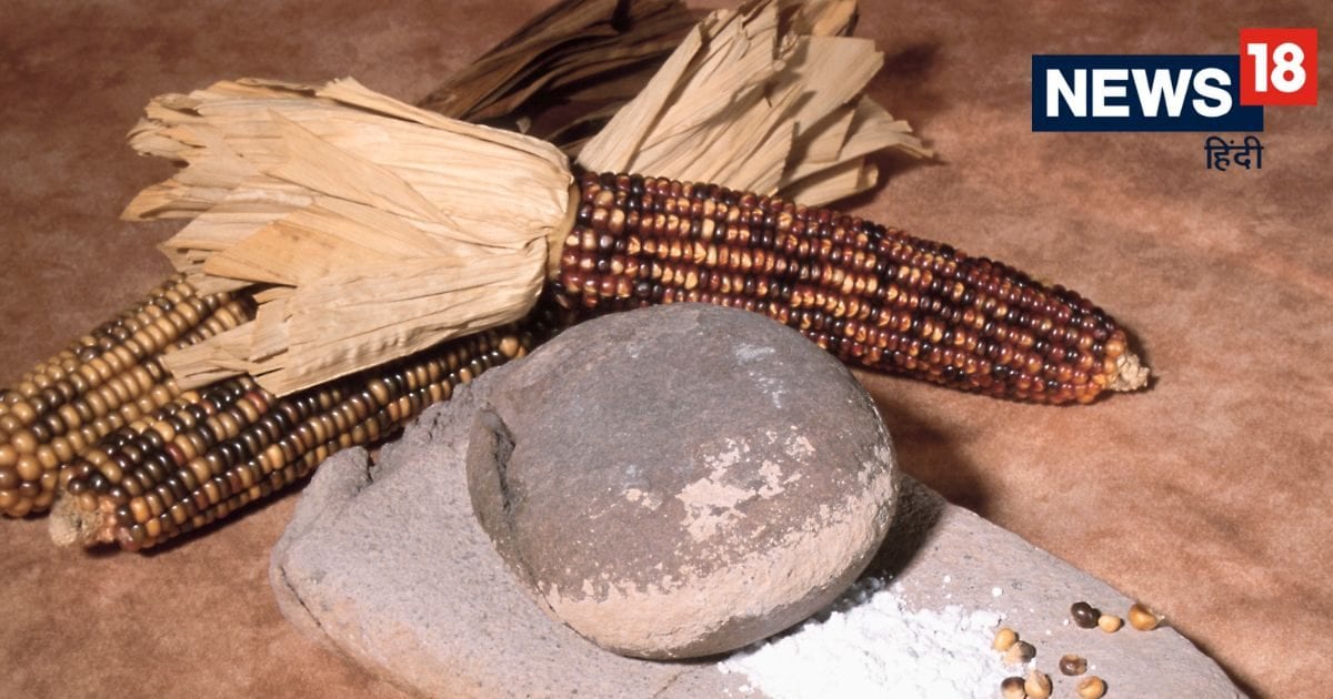 रसोई घर में करते हैं सिलबट्टे का इस्तेमाल? नमक के इस उपाय से बढ़ेगी सुख-समृद्धि, जानें इसे सही से रखने के वास्तु टिप्स