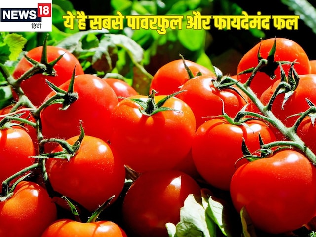 ये है दुनिया का सबसे ताकतवर, फायदेमंद फल, सीडीसी ने भी माना इसे हेल्दी फ्रूट ये है दुनिया का सबसे ताकतवर, फायदेमंद फल, सीडीसी ने भी माना इसे हेल्दी फ्रूट