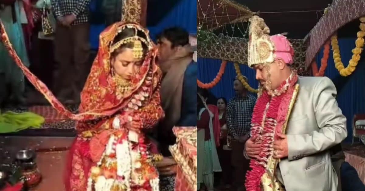 सोशल मीडिया पर अजीब जोड़े की शादी का वीडियो वायरल - News18 हिंदी