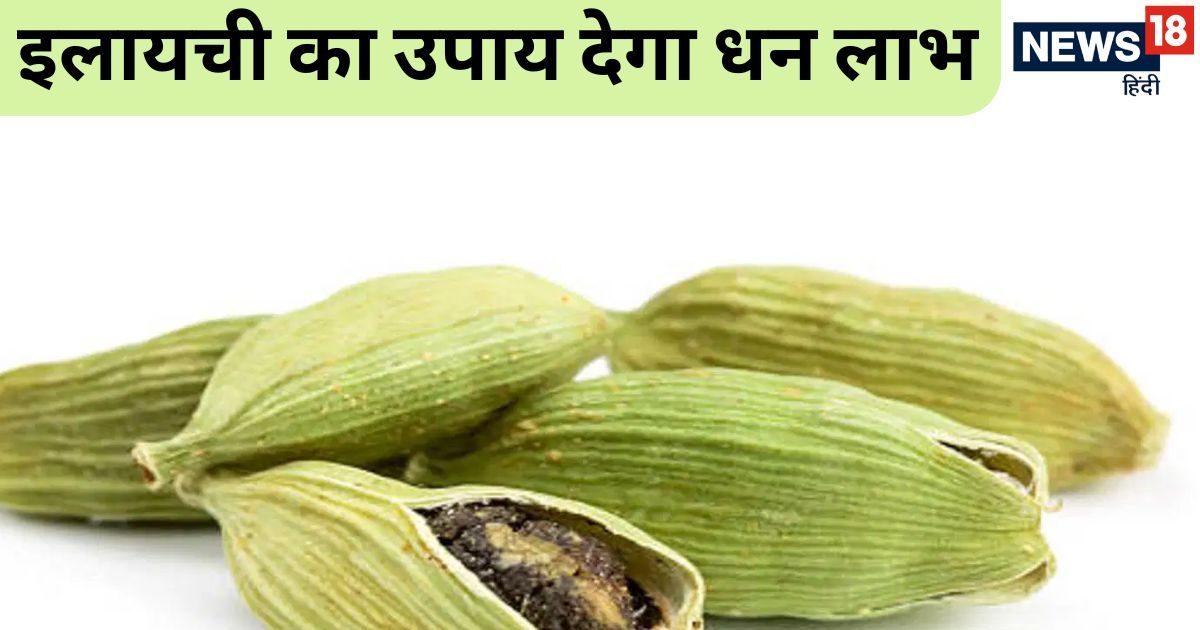 दो इलायची का आज ही कर लें ये अचूक उपाय, नौकरी, धन, विवाह, संतान हर परेशानी में देगा लाभ!