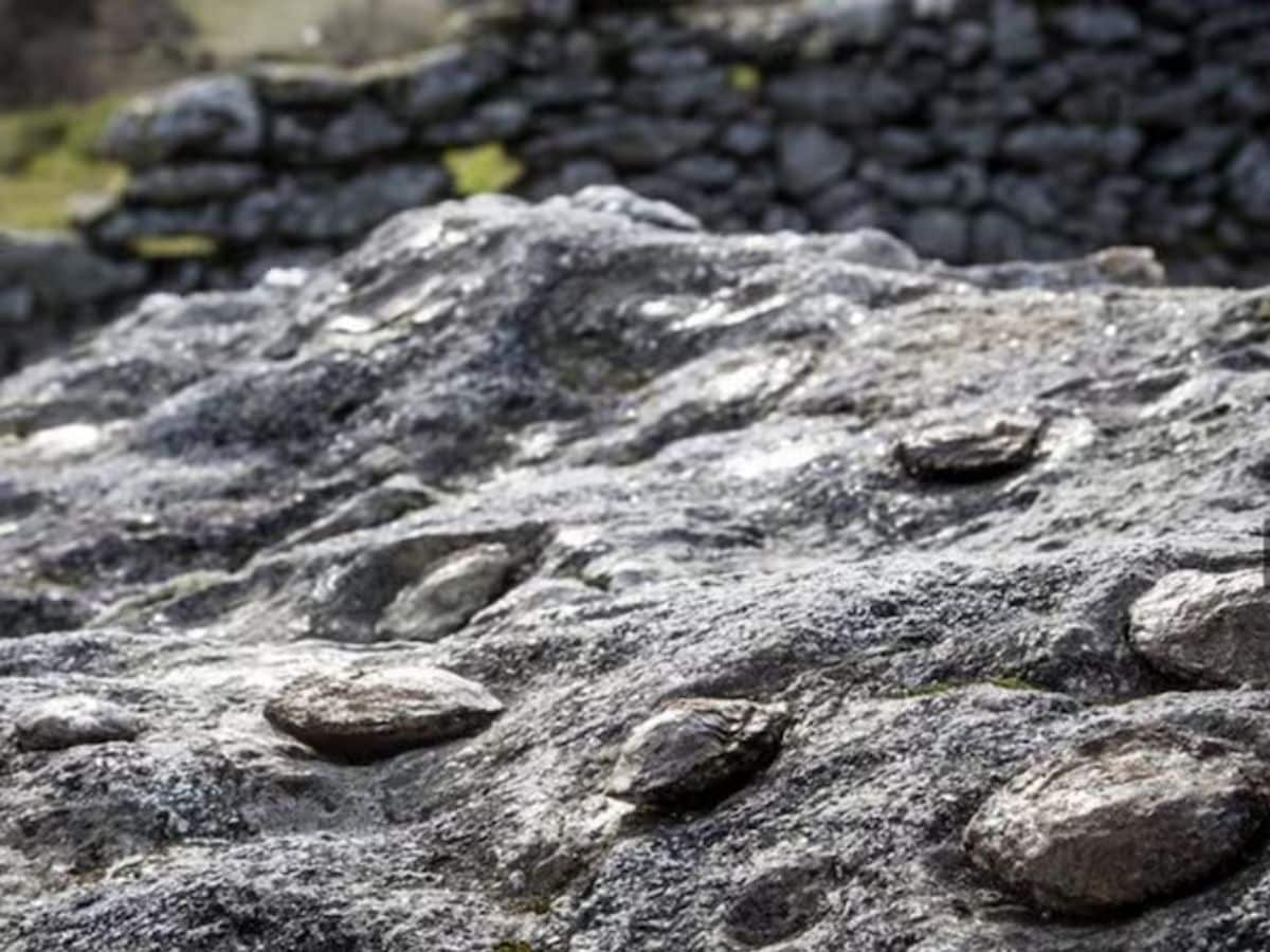 pregnant stones, mysterious stones, Birthing Stones, Birthing Stones Portugals, Mysterious Stones, rock that gives birth, mother-rock, baby stone, mother stone, nodules stone, Pedras Parideiras stone, birth stones in portugals