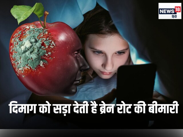 नई पीढ़ियों की पूरी फौज होने लगी है ब्रेन रोट के शिकार, 2024 का सनसनीखेज शब्द