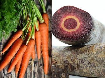 क्या है लाल और ऑरेंज गाजर में अंतर? पोषण में भी अलग, जान लें इसका यूज