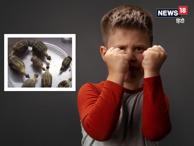 'पुलिस अंकल, पापा के पास ड्रग्स है', होमवर्क की डांट का बेटे ने यूं लिया बदला! 'पुलिस अंकल, पापा के पास ड्रग्स है', होमवर्क की डांट का बेटे ने यूं लिया बदला!