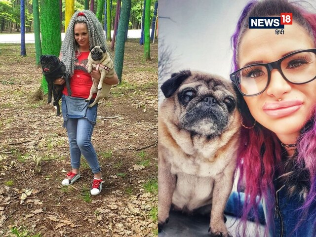 डॉग लवर थी महिला, पाले थे 2 कुत्ते, घर में अचानक हो गई मौत! फिर...