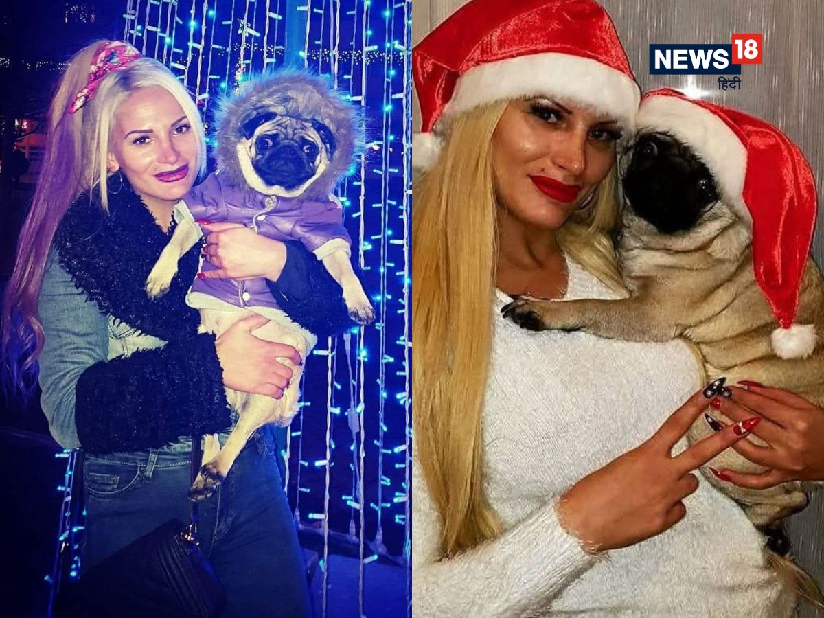 dog eats owner body after death