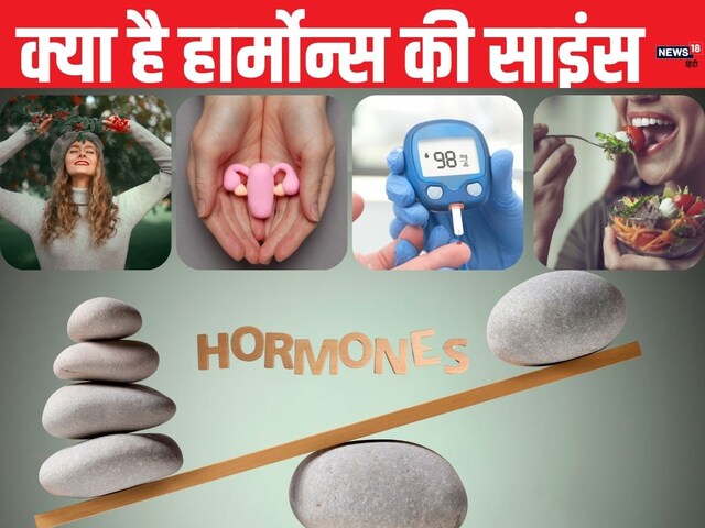 मूड से लेकर भूख तक, 'हार्मोन्स' के इशारों पर नाचते हैं आप!
