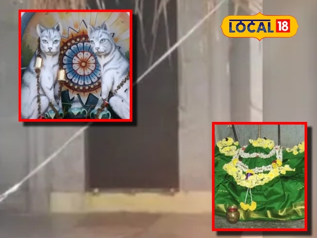 यहां बिल्ली की होती है पूजा! थूक में प्रसाद और मरने पर अंतिम संस्कार भी होता यहां बिल्ली की होती है पूजा! थूक में प्रसाद और मरने पर अंतिम संस्कार भी होता