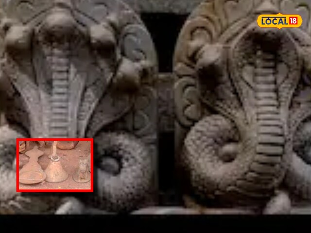 सांपों की अजीब हरकतें,फिर खुला 700 साल पुराना रहस्य!मंगलुरु में क्या हो रहा है