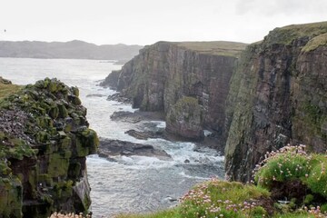 A manager is being searched for this island, not a single person remains! A manager is being searched for this island, not a single person remains!