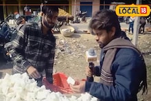 यह मिठाई मकर संक्रांति पर ही क्यों बनती है? जानिए दिलचस्प वजह