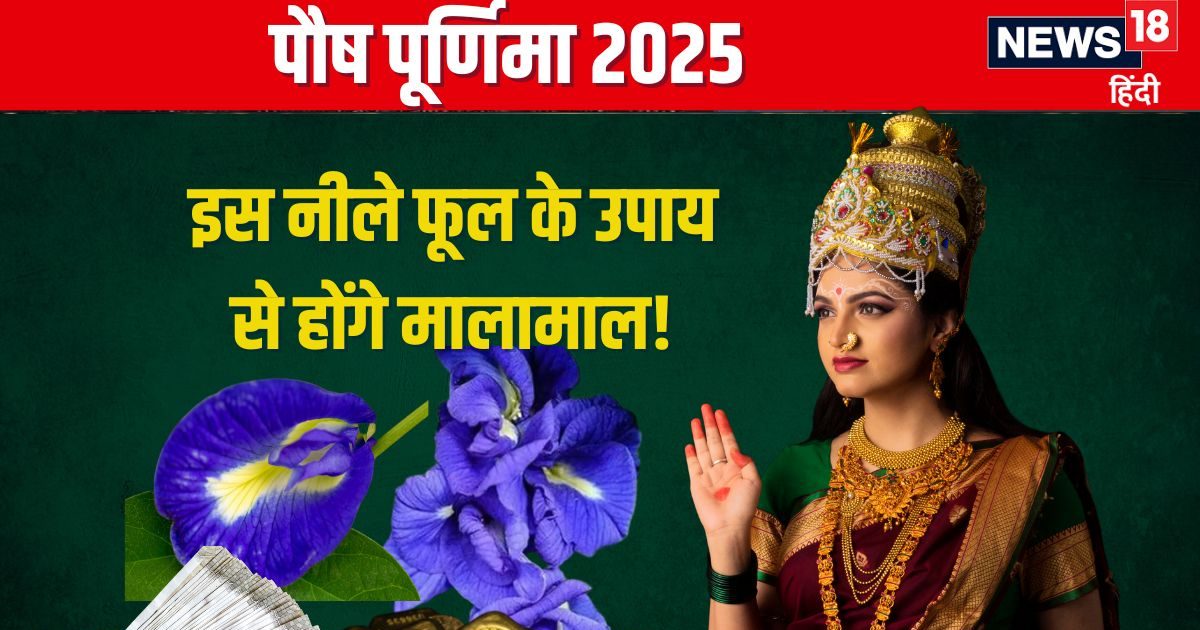 पौष पूर्णिमा पर करें इस नीले फूल के उपाय, माता लक्ष्मी हो जाएंगी खुश, मिटेगी आर्थिक तंगी, धन-धान्य से भरेगा घर!