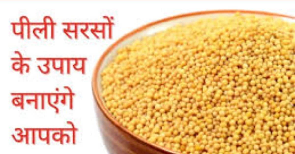 ⁠Yellow Mustard: पीली सरसों के इस टोटके से दूर होंगी समस्याएं, अमीर बनने के साथ आपके पक्ष में होगा भाग्य!