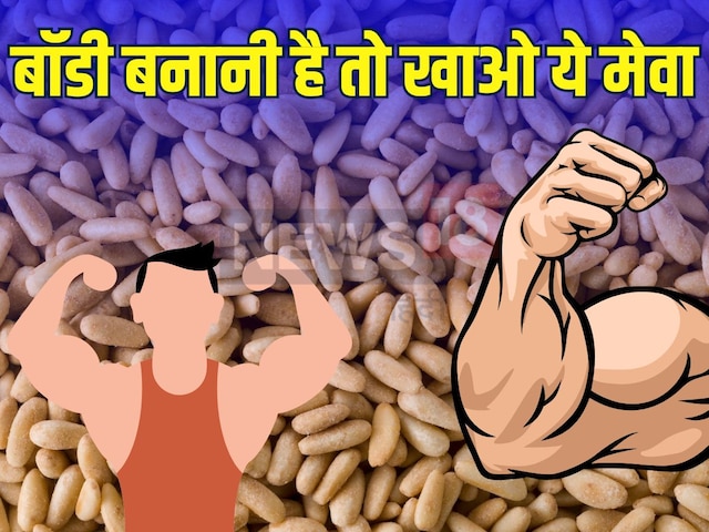 शाकाहारियों की बॉडी बनवाएगा ये ड्राईफ्रूट, हड्डियां भी हो जाएंगी मजबूत शाकाहारियों की बॉडी बनवाएगा ये ड्राईफ्रूट, हड्डियां भी हो जाएंगी मजबूत