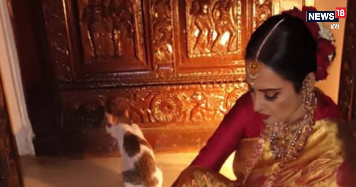 70 की उम्र में कहर ढा रही जितेंद्र की ये हीरोइन, अदा पर फिदा है जमाना, सुनहरी साड़ी में लूटा फैंस का दिल