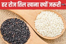 काले या सफेद कौन से तिल खाएं? महिलाओं के लिए सुपर फूड है तिल