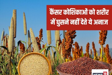 कभी था गरीबों का आहार, वह आज बन गया पोषक तत्वों का बाप, सोच से ज्यादा शक्ति