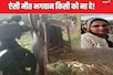 गौशाला में चारा काट रही थी महिला, अचानक फुटबॉल-सा उछल गया सिर