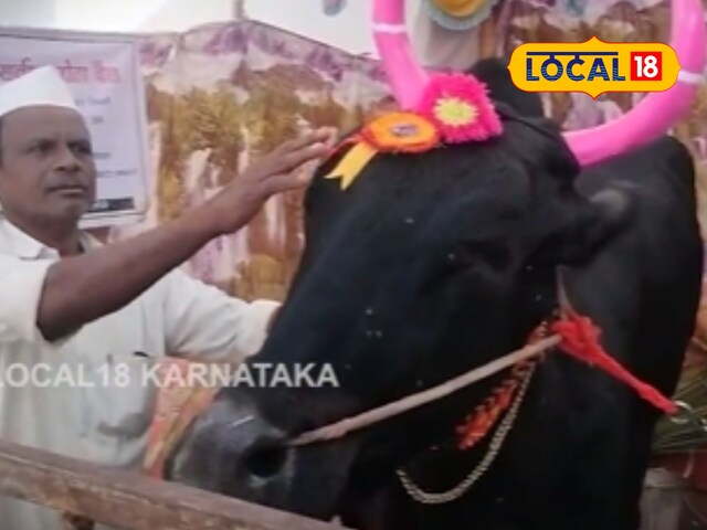 1500 किलो का ये बैल खींचता है ट्रक, देखने के लिए लगती टिकट, लाखों कमाकर देता