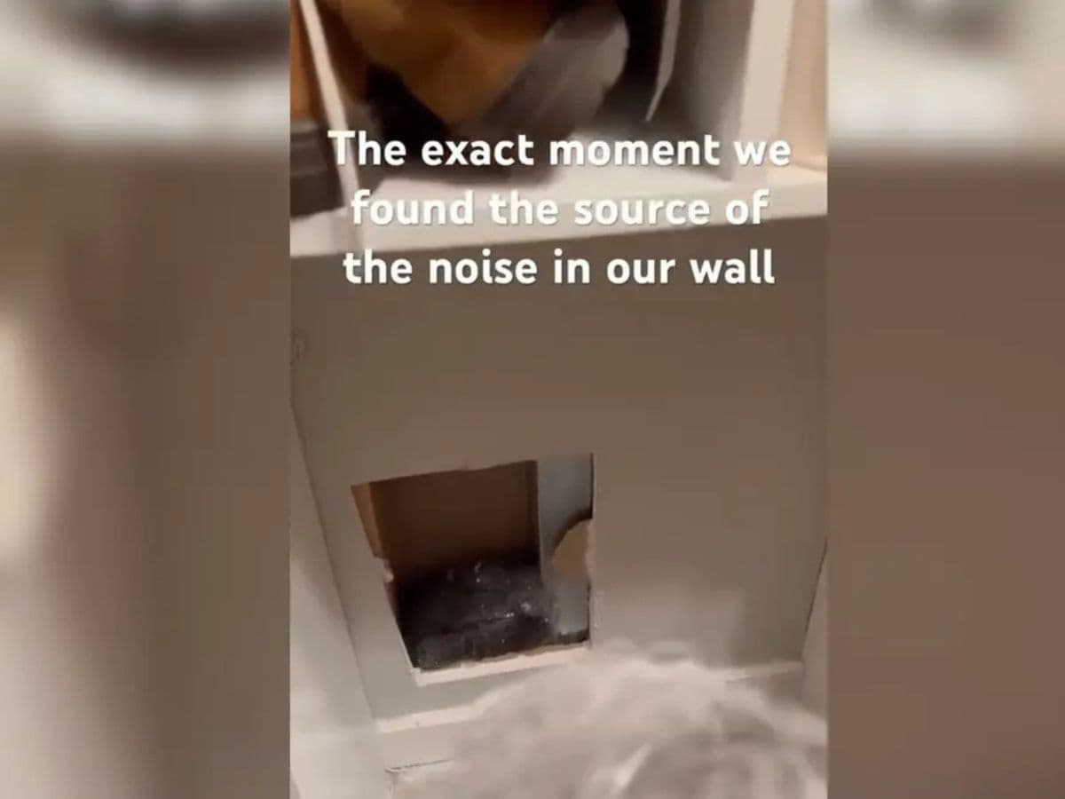 woman hear strange sound from wall