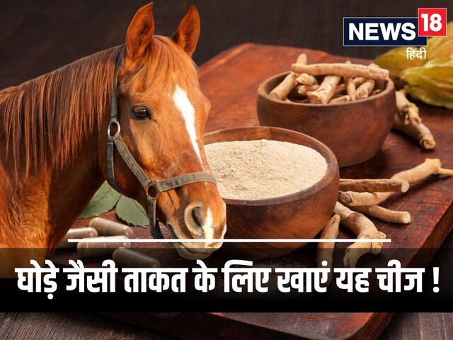 इस जड़ी-बूटी को खाने से शरीर में आएगी 10 घोड़ों की ताकत ! मर्दों के लिए वरदान