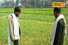 बजट 2025 बनेगा वरदान, इस फसल से मिलेगा तगड़ा मुनाफा, जानें जनता की राय!