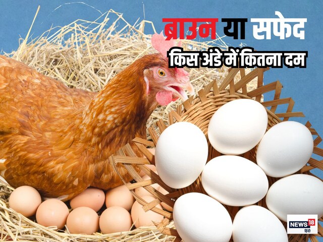क्या सच में ब्राउन अंडा है ज्यादा पावरफुल, क्या है दोनों में अंतर