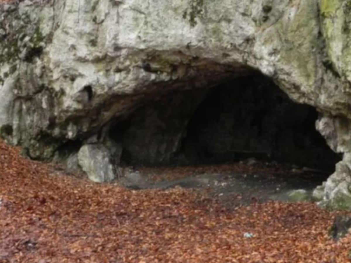 Cannibalism, नरभक्षण, Human history, मानव इतिहास, Ancient tribes, प्राचीन जनजातियां, Magdalenian era, मैग्डालेनियन युग, weird news, bizarre news, shocking news, world, अजब गजब, अजीबोगरीब खबर, जरा हटके, 