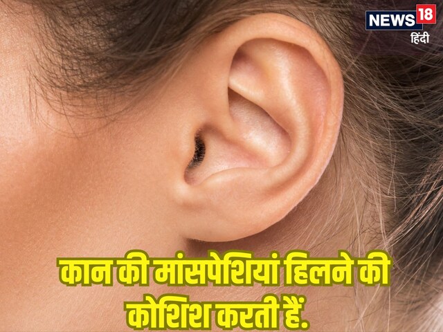  क्या सुनने की कोशिश में हिलते हैं इंसान के कान?