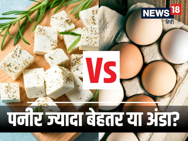 सेहत के लिए अंडा ज्यादा फायदेमंद या पनीर? 90% लोग नहीं जानते होंगे ये 5 फैक्ट