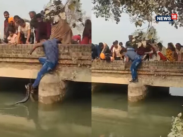 नहर में तैरता दिखा 15 फीट लंबा दैत्याकार अजगर, शख्स ने लगाई जान की बाजी, फिर.. नहर में तैरता दिखा 15 फीट लंबा दैत्याकार अजगर, शख्स ने लगाई जान की बाजी, फिर..