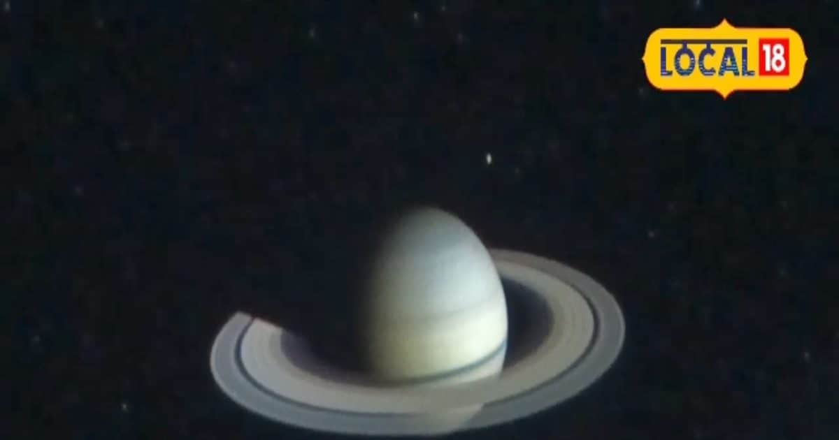 Vrishchik Rashifal: धन प्राप्ति का बन रहा है योग, कोई इच्छा हो सकती है पूरी, परेशानियों से बचने के लिए करें ये उपाय!