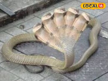 प्रतीतामक