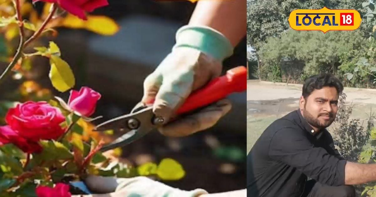 रंग-बिरंगे फूलों के है शौकीन तो आज ही सीख लें ग्राफ्टिंग का सही तरीका