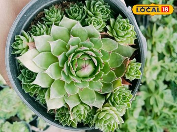 प्रतीकात्मक