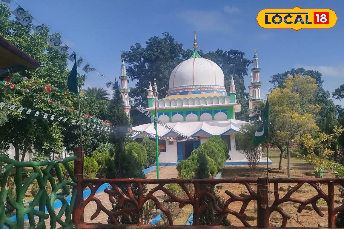 इस जिले में है 300 साल पुरानी तोते की मजार, चुड़ैल से जुड़ी है कहानी