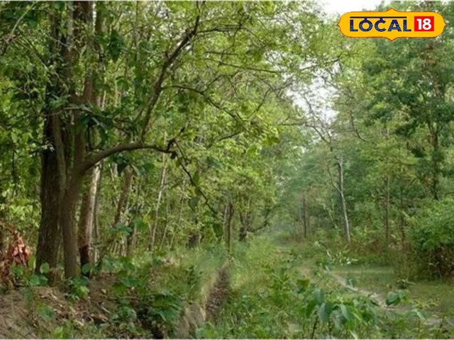 Free Tourism: फेेमिली ट्रिप पर राजस्थान घूमना हुआ आसान, बच्चों और दिव्यंगों को फ्री एंट्री, कम हुआ टिकट का दाम